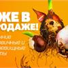 В продаже осенние луковичные цветы! 