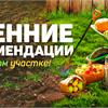 Осенние рекомендации по уходу за садом 