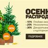 Осенняя распродажа растений в СЦ ПЯТНИЦА! 