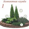 Клумбы с хвойными растениями 