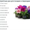 Неблагоприятные дни для посадки и пересадки растений 