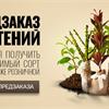 Предзаказ на весну 2017 открыт!