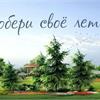 У нас в продаже ОГРОМНОЕ количество декоративных растений!