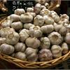 Чеснок в вопросах и ответах