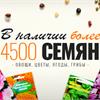 Семена 2017 в продаже! Коллекция!