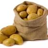 Хранение картофеля