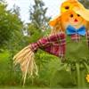 Полезные советы не будут лишними ни для начинающих, ни для опытных садоводов. 