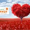 Самый полезный раздел для садовода!!!