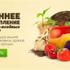 Осеннее поступление плодово-ягодных культур