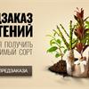 Предзаказ на весну 2017 открыт!