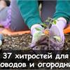 Полное собрание дачных хитростей
