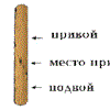 Что садоводу нужно знать о прививке