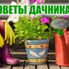 Садовые полезности. На всякий случай.