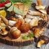 10 причин выращивать грибы!!!