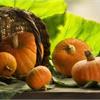 Тыква. Сроки сбора урожая. 🍊