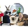 Корма для домашних питомцев и сельскохозяйственных животных