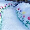 Когда очень хочется посадить тюльпаны
