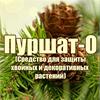 Если не хотите укрывать хвойные на зиму