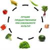 Как соблюдать севооборот овощных культур на участке?