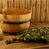 Как и из каких растений вязать веники для бани