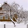 Где зимуют садовые и огородные вредители? 