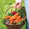 Как ускорить получение овощной продукции?