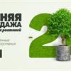 Уже сейчас на декоративные растения скидка 20%
