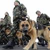 А вы знали про турнир по служебному сабоководству?