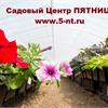 В Садовом Центре ПЯТНИЦА поступление рассады цветов и овощей!