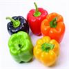 В чем особенности выращивания вкусного сладкого перца?