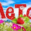 Новое поступление растений (Собери своё лето)