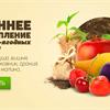 Осеннее поступление плодово-ягодных культур
