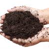 Кислотность почвы: как определить и на что влияет?