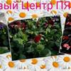 Семь причин заходить на наш сайт! Вы знали?