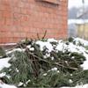Готовим сад к зиме: укрытие и окучивание растений