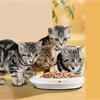 Leonardo Cat Food – линия кошачьих кормов супер-премиум класса!