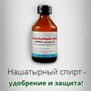 Нашатырный спирт- удобрение и защита...