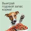 Акция! Забери свой годовой запас корма для собаки. 