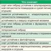 Как правильно читать информацию на пакетиках с семенами?