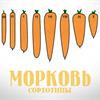 Сортотипы моркови