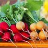 Овощные культуры короткого и длинного дня