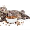 Leonardo Cat Food – линия кошачьих кормов супер-премиу