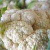 Цветная капуста. Урожай с июня до декабря