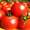 Представляем в нашем магазине новые сверхпродуктивные томаты!