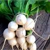 Репа: вкусна и не калорийна