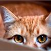 Leonardo Cat Food – линия кошачьих кормов супер-премиум класса! 