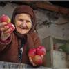 Секрет урожайности от наших бабушек
