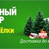 Ёлочный базар
