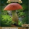 В продажу поступил мицелий грибов!!!