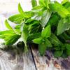 15 способов использования мяты 